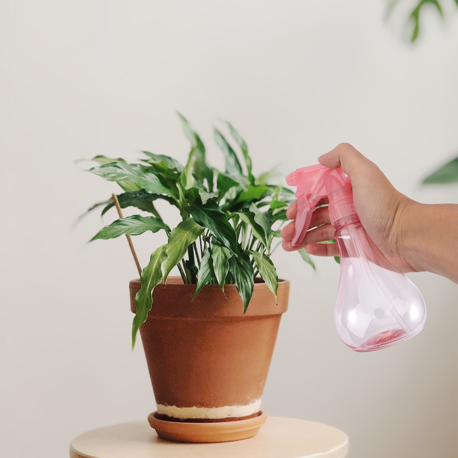 Gardening Tools And Accessories - 1세트 미니 다육식물 재배 도구 키트
