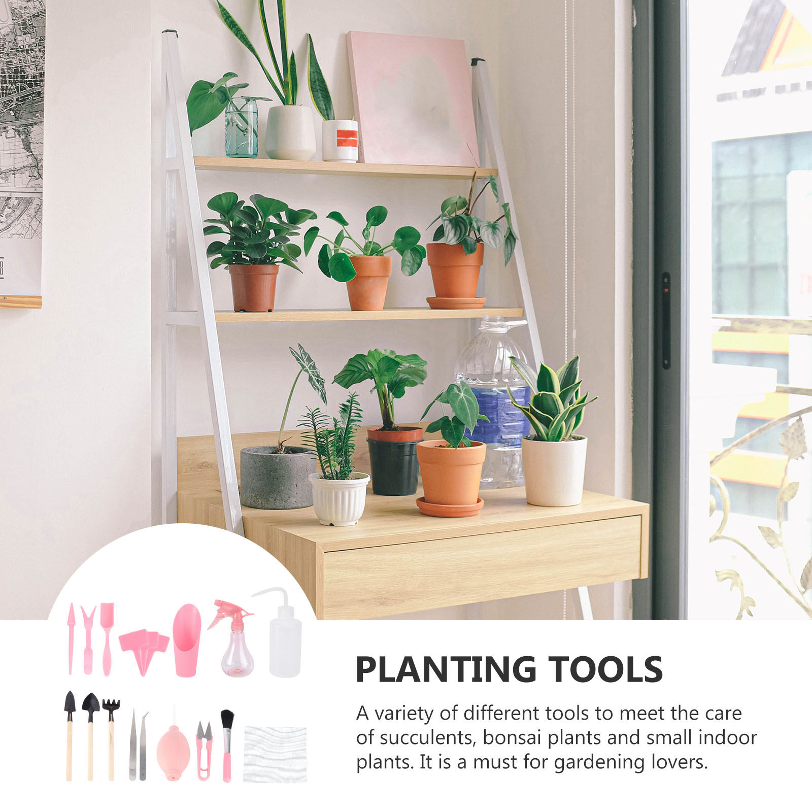 1세트 미니 다육식물 재배 도구 키트 정원 재배 도구  - Gardening Tools And Accessories 리뷰 및 가격