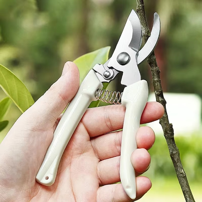 스테인리스 스틸 전정가위, 꽃꽂이, 과일나무 가지치기, - Gardening Tools To Cut Branches 리뷰 및 가격
