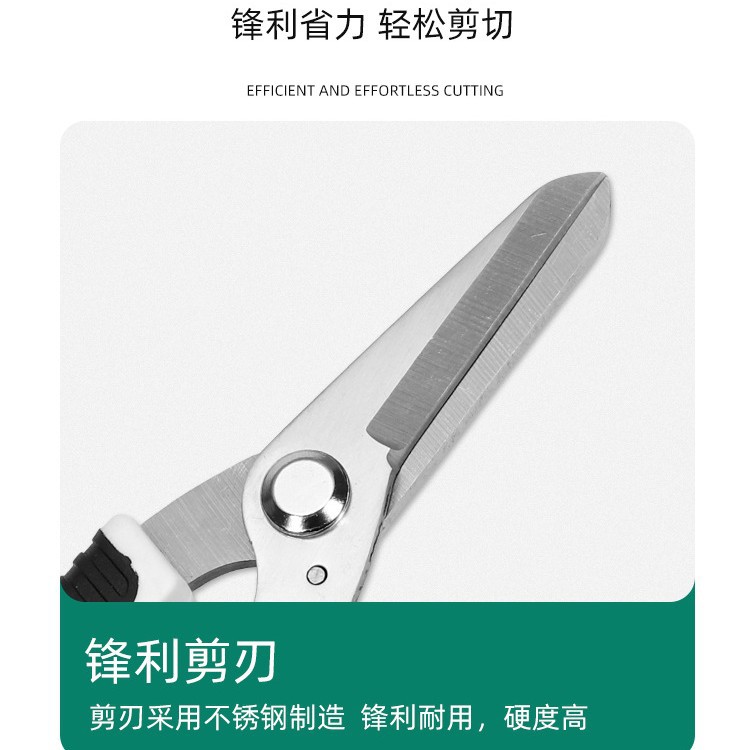 스테인리스 스틸 가지치기 가위, 꽃 가지치기 가위, 과 - Gardening Tools To Cut Branches 리뷰 및 가격