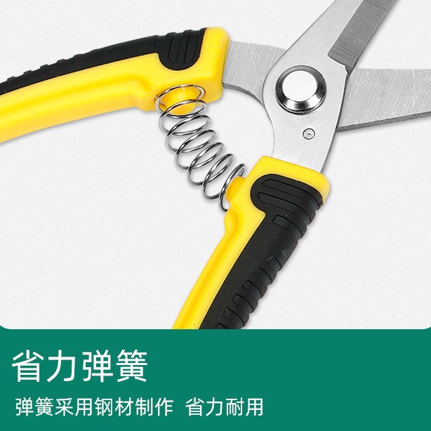 스테인리스 스틸 가지치기 가위, 꽃 가지치기 가위, 과 - Gardening Tools To Cut Branches 리뷰 및 가격