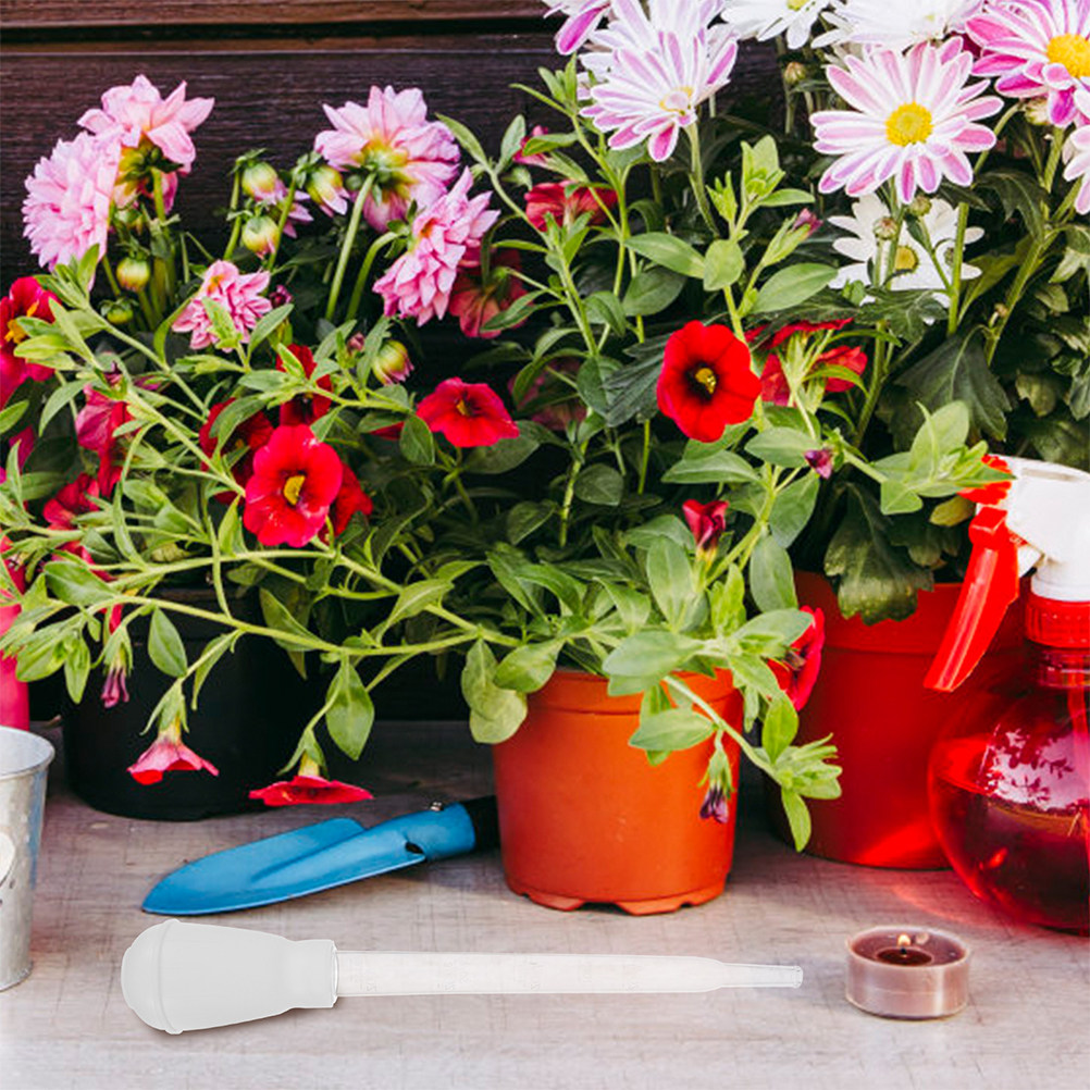 3개입 화분 물 흡수 트레이 받침대 물 제거 도구 과습 - Gardening Tools And Accessories 리뷰 및 가격