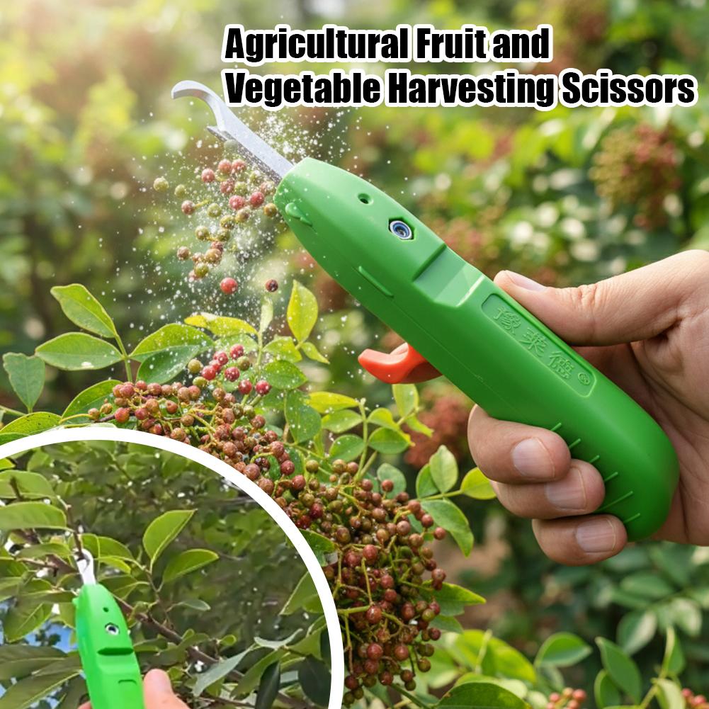 과일 및 채소 수확용 가위, 정원용 전정 가위, 곡선형 - Gardening Tools Combo 리뷰 및 가격