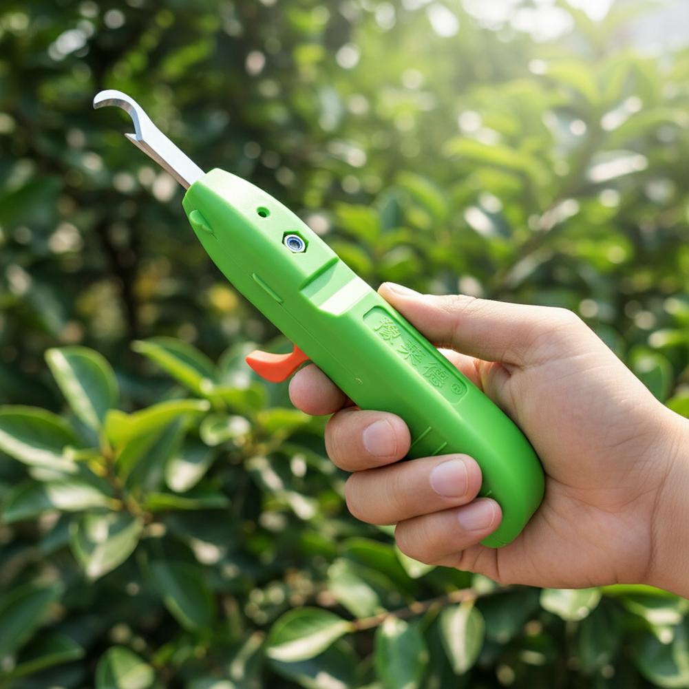 과일 및 채소 수확용 가위, 정원용 전정 가위, 곡선형 - Gardening Tools Combo 리뷰 및 가격