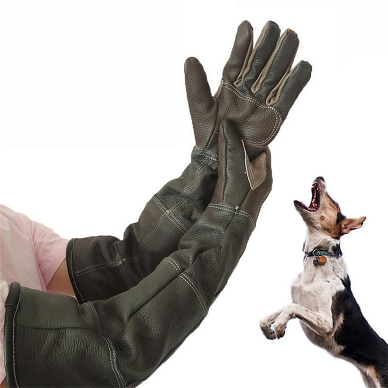 애완 동물 장갑 쇠가죽 채찍으로 치다 가죽 Anti-g - Gardening Tools Gloves 리뷰 및 가격