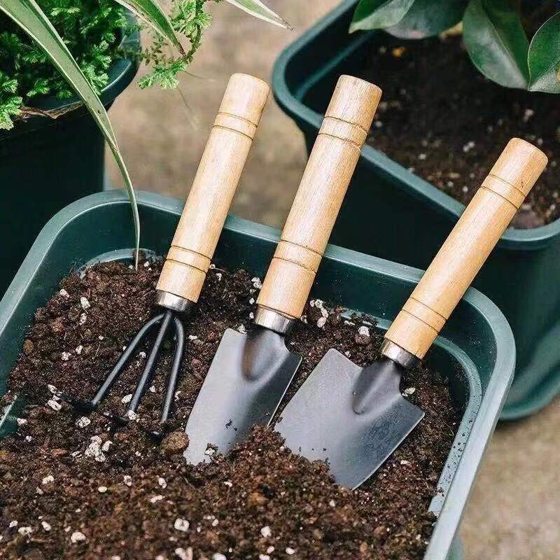 나무 손잡이가 있는 3피스 미니 원예 도구 세트, 실내 - Gardening Tools Shovel 리뷰 및 가격