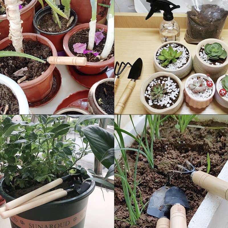 3PC/1세트 미니 원예 도구 세트 휴대용 소형 원예  - Gardening Tools Combo 리뷰 및 가격