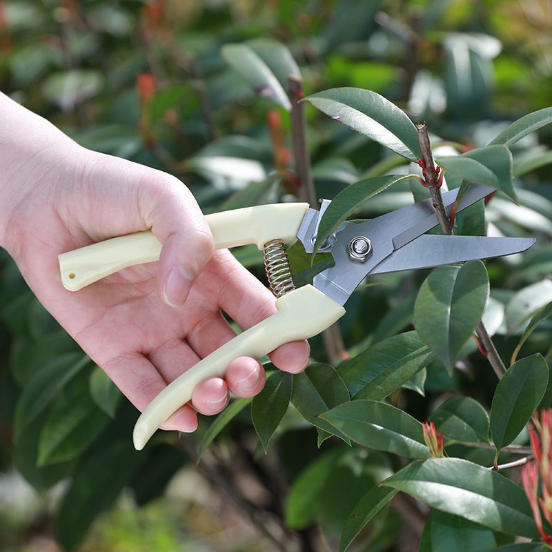 1PC 스테인레스 스틸 가지치기 가위 다기능 꽃나무 가 - Gardening Tools To Cut Branches 리뷰 및 가격