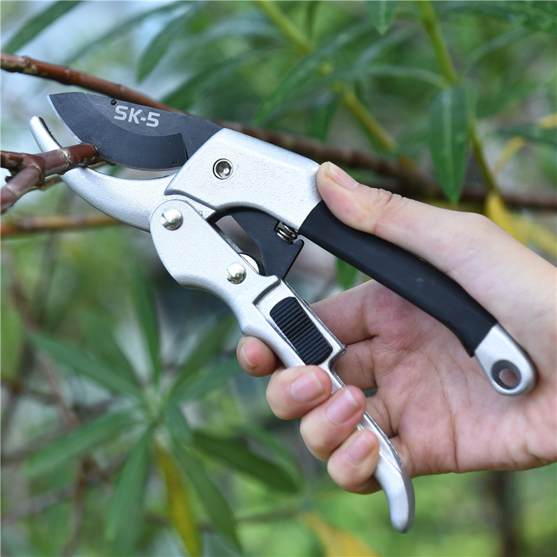 원예용 래칫 식물 트림, 손 가위, 과수원 가지 치기, - Gardening Tools To Cut Branches 리뷰 및 가격