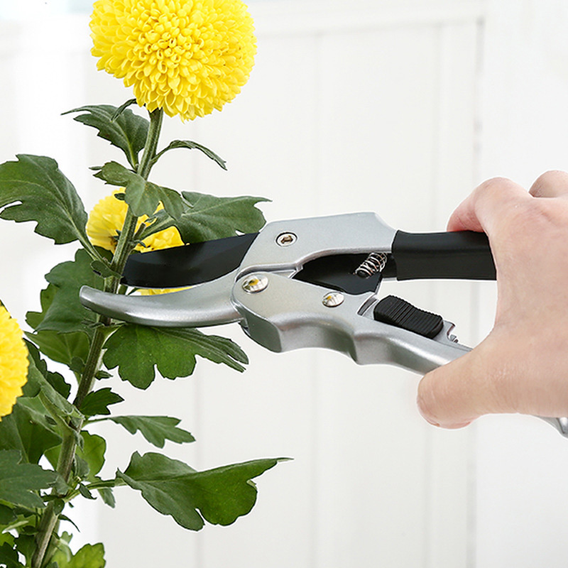 원예용 래칫 식물 트림, 손 가위, 과수원 가지 치기, - Gardening Tools To Cut Branches 리뷰 및 가격