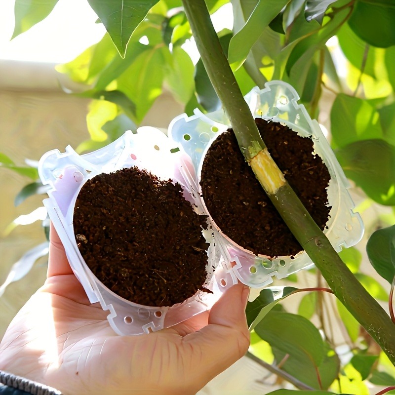 10개입 고압 식물 뿌리화 번식 상자 키트, 정원용 압 - Gardening Tools Gift Set 리뷰 및 가격