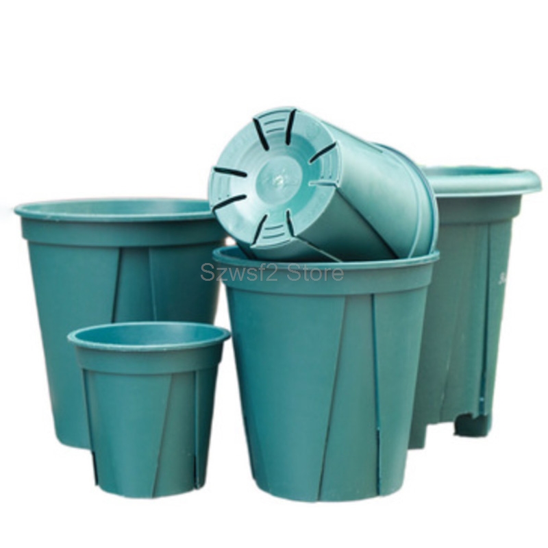 5/10개 녹색 플라스틱 식물 화분 트레이 - 허브,  - Gardening Tools Cute 리뷰 및 가격